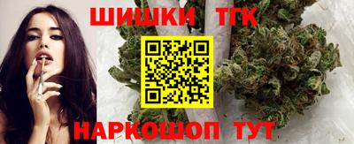 крисы Камышлов