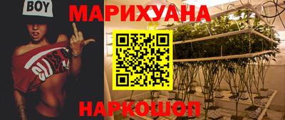 крисы Камышлов