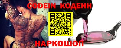 крисы Камышлов
