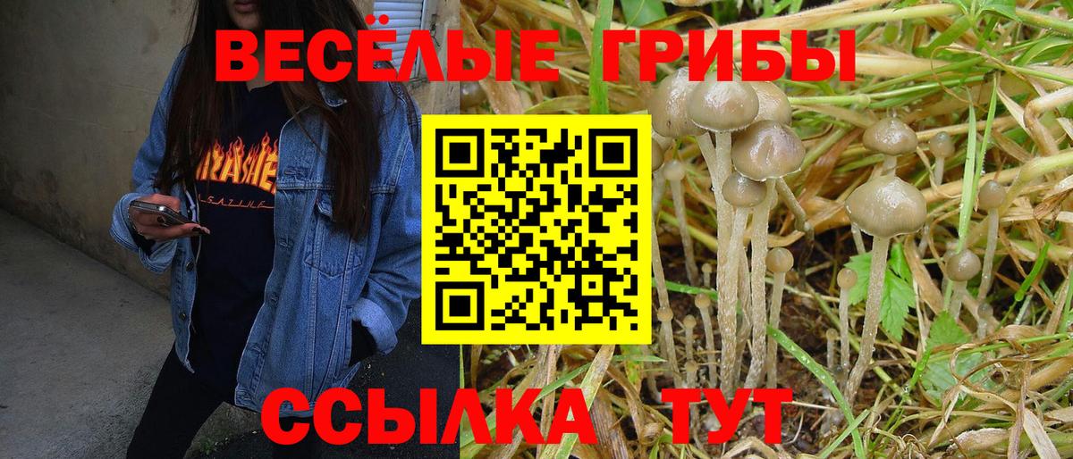 Галлюциногенные грибы Cubensis Кузнецк
